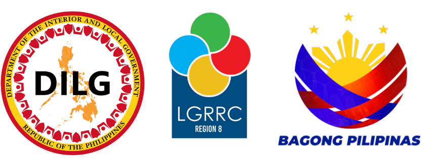 DILG and partner logos